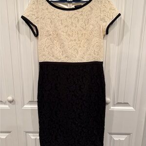 Ann Taylor Elegant Cream and Black Mini Dress